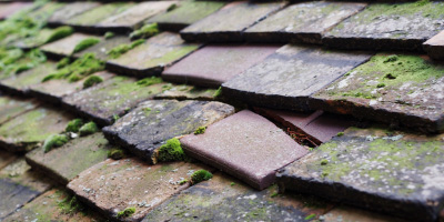 Thrupp roof repair costs